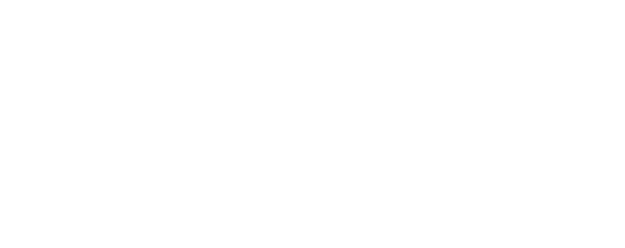 ELECTION homes & properties